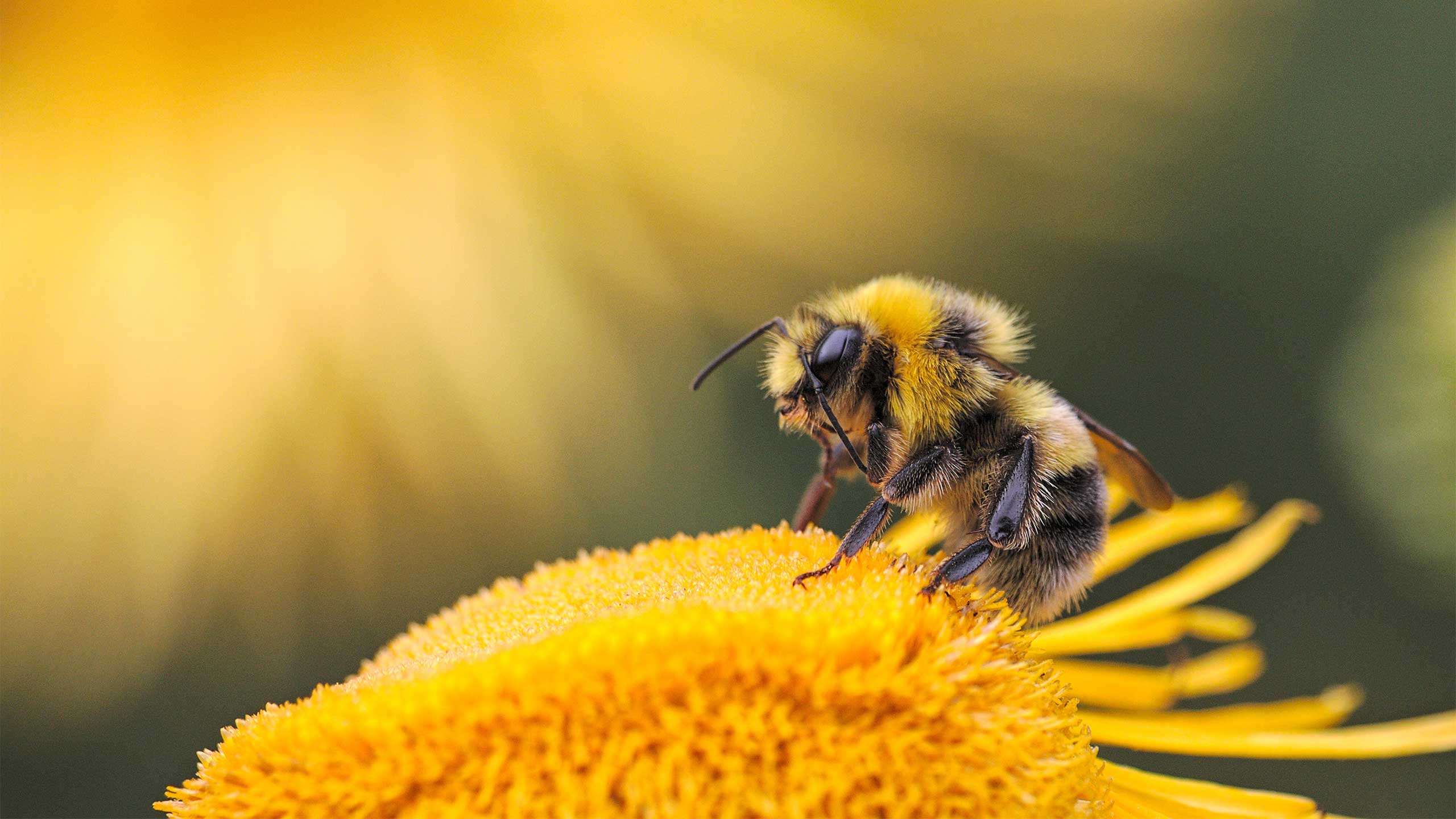 Photo by Dmitry Grigoriev on Unsplash