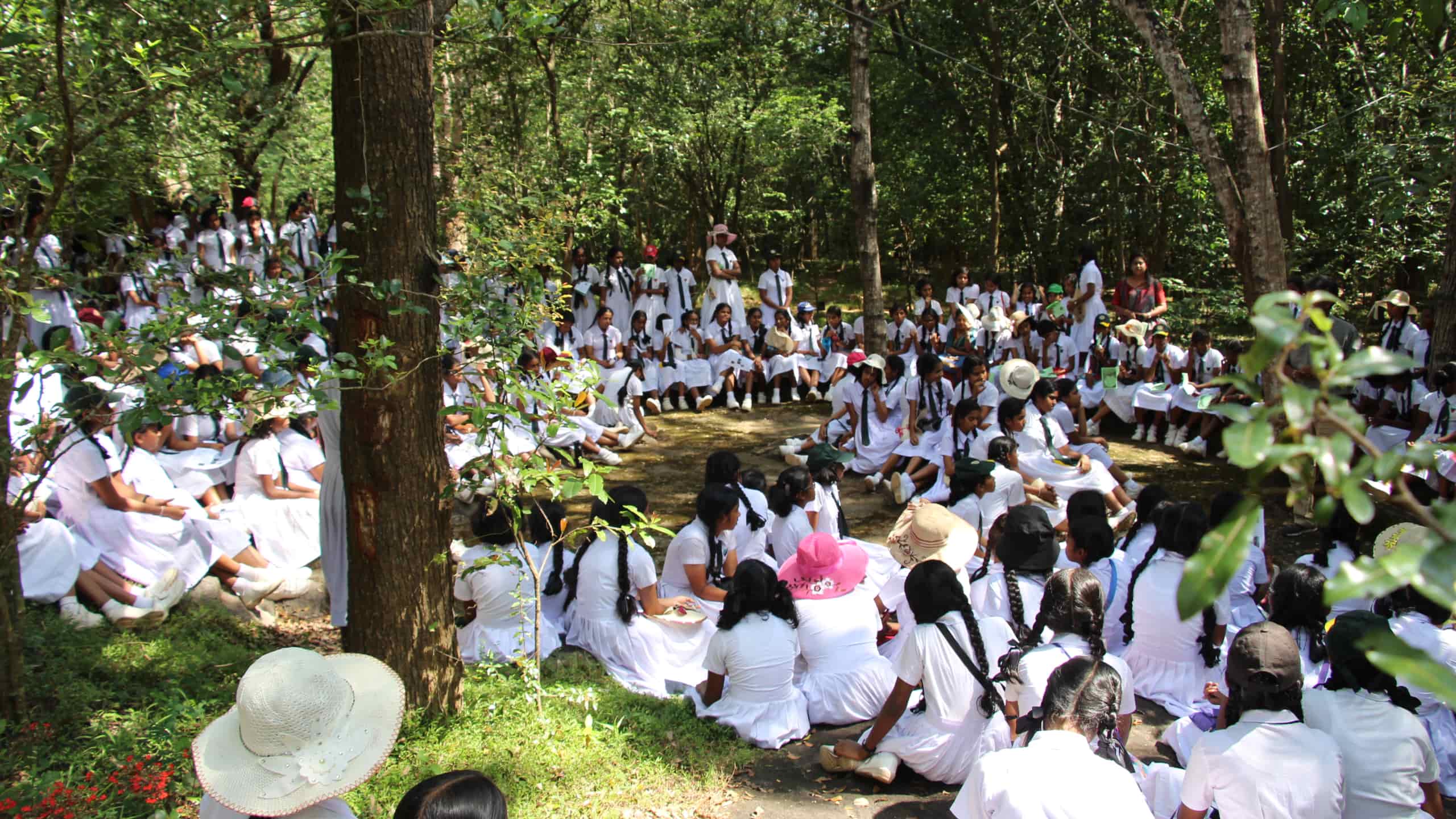 Nature Awareness Programmes at NIFS Sam Popham's Arboretum