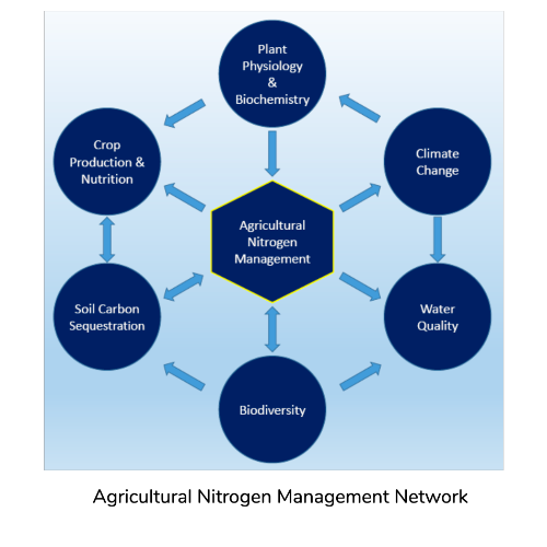 Center for Advanced Research on Nitrogen Management in Agriculture (CARNMA)