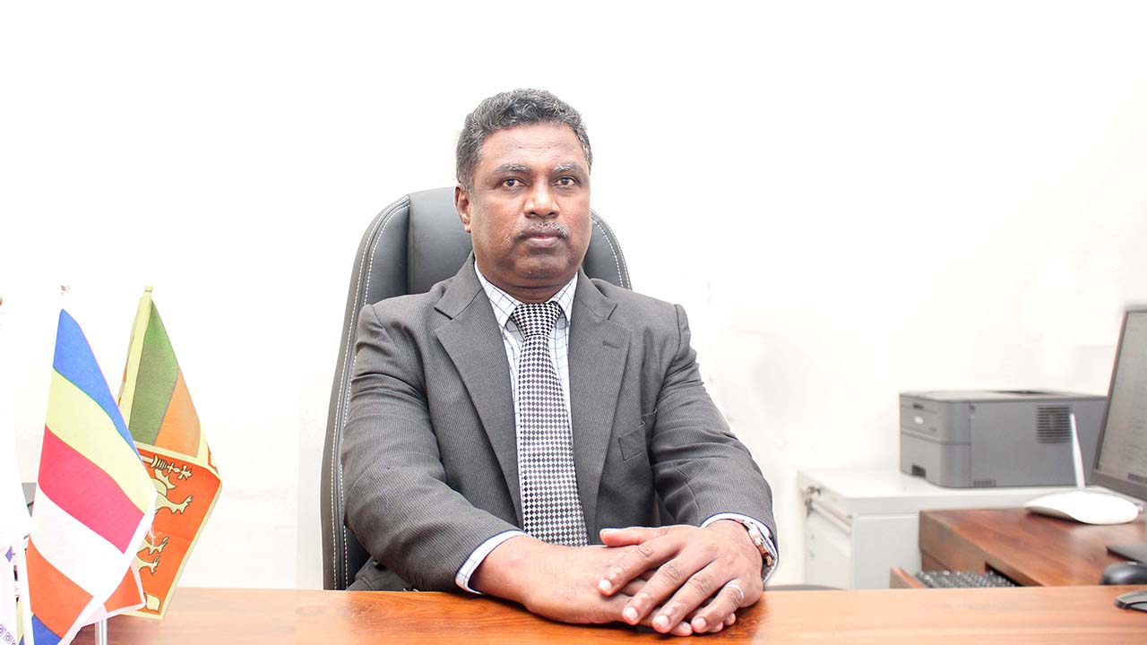 Appointment of the Director